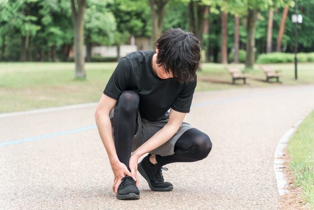 画像の説明 画像の説明