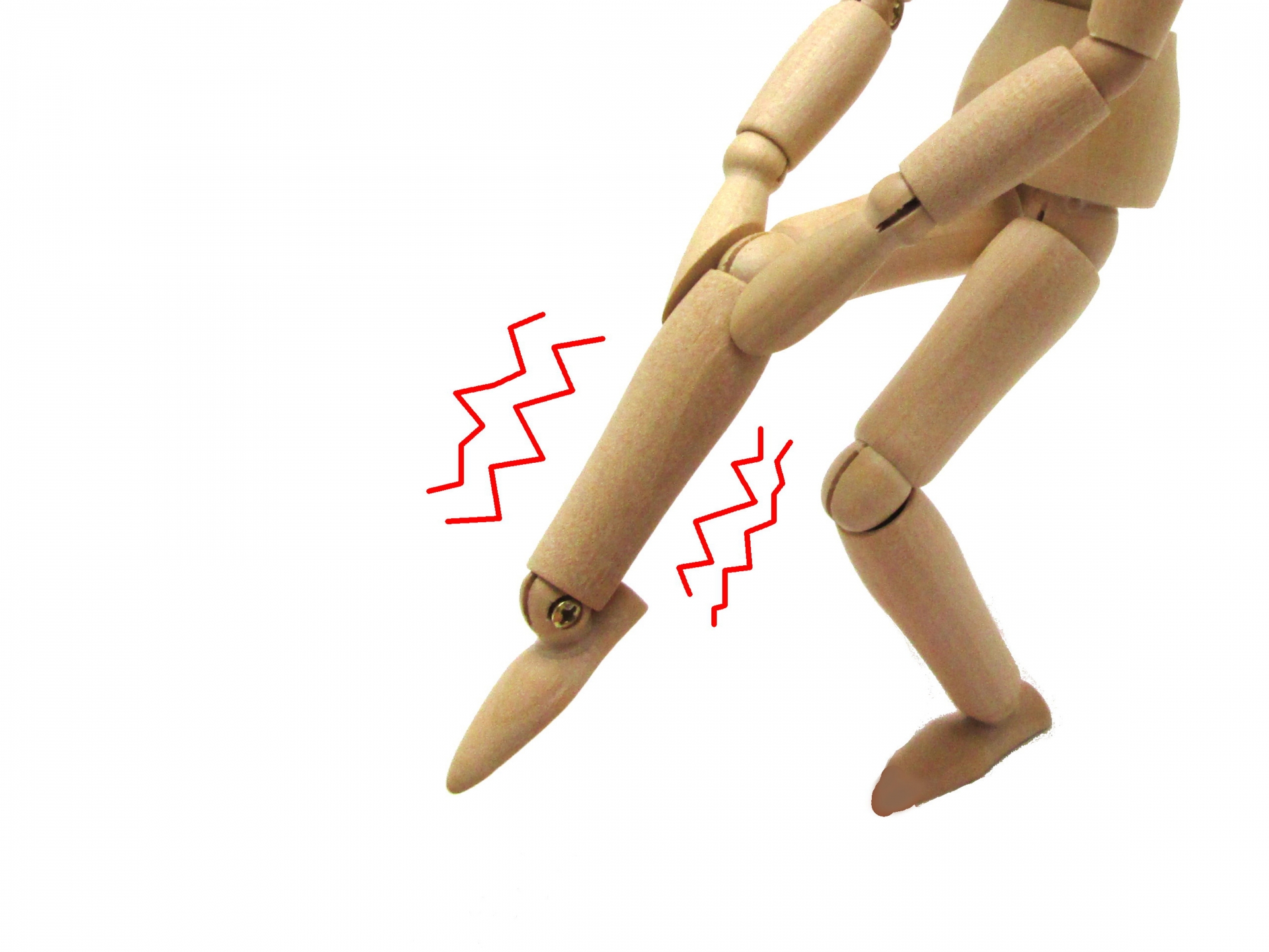 IMG_5583.jpeg IMG_5583.jpeg