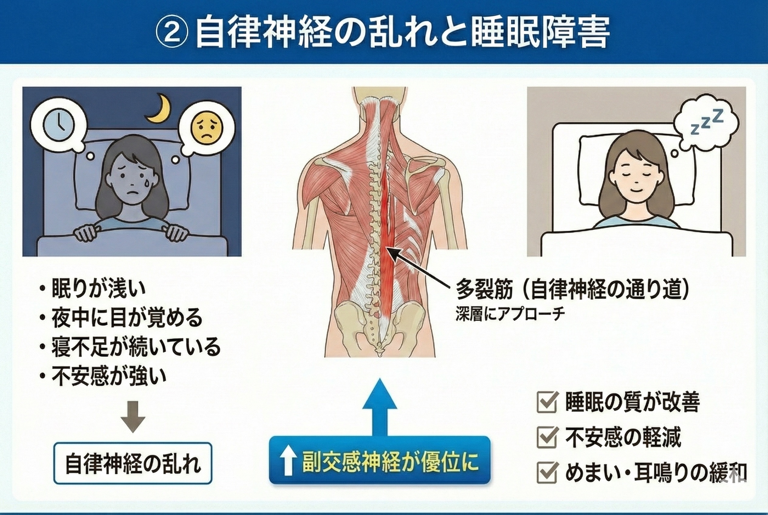 ② 自律神経の乱れと睡眠障害